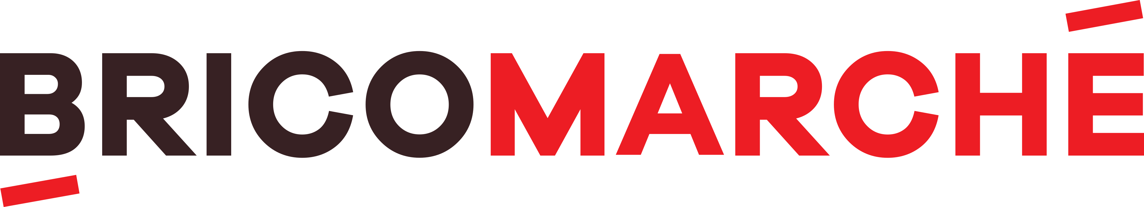 Logo Bricomarché